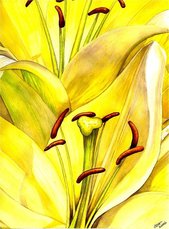 Lily Poster featuring the painting Daylily by Catherine G McElroy