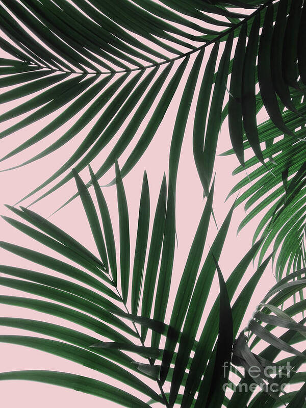 Delicate Poster featuring the mixed media Delicate Jungle Theme by Emanuela Carratoni