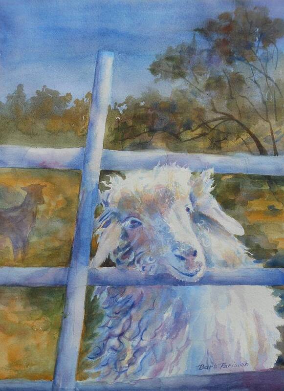 Goat Poster featuring the painting Don't Fence Me In by Barbara Parisien
