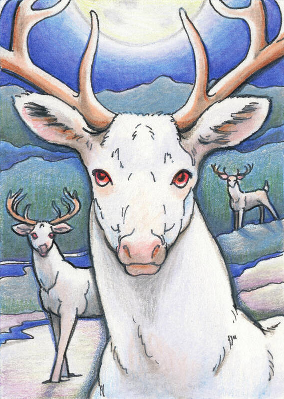 Artist Trading Card Poster featuring the drawing Dream of the White Stag by Amy S Turner