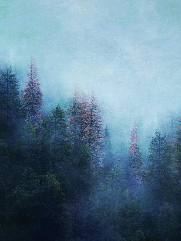 Nature Poster featuring the digital art Dreamy Winter Forest by Klara Acel