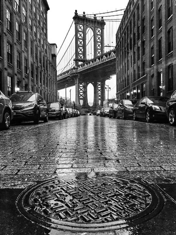 Dumbo Poster featuring the photograph Dumbo In The Rain by Rand Ningali