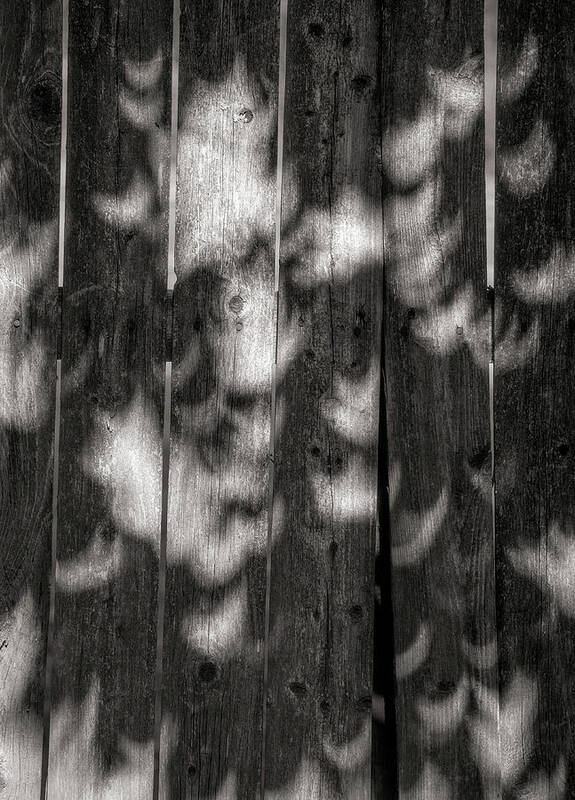 Shadows Poster featuring the photograph Eclipse Pattern 1 by David Smith