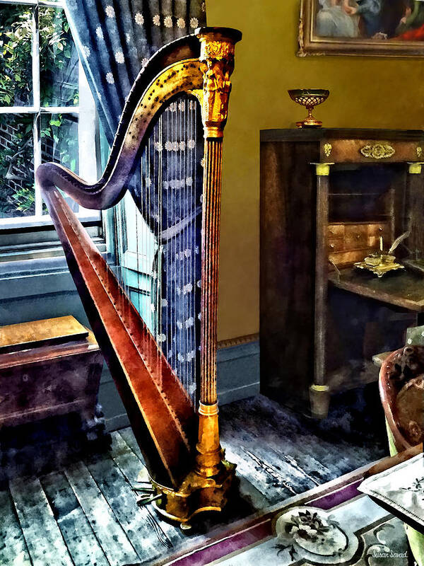 Harp Poster featuring the photograph Elegant Harp by Susan Savad