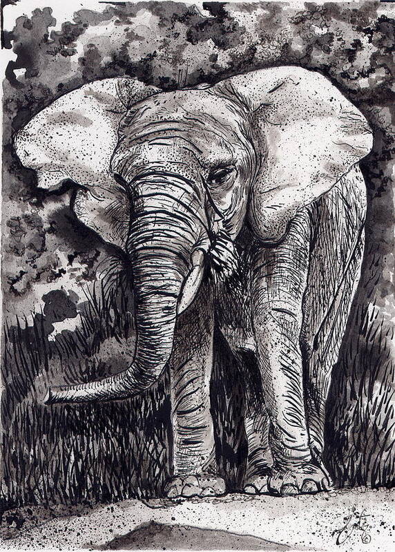 Elephant Drawing Poster featuring the painting Elephant in Grey by Daniela Easter