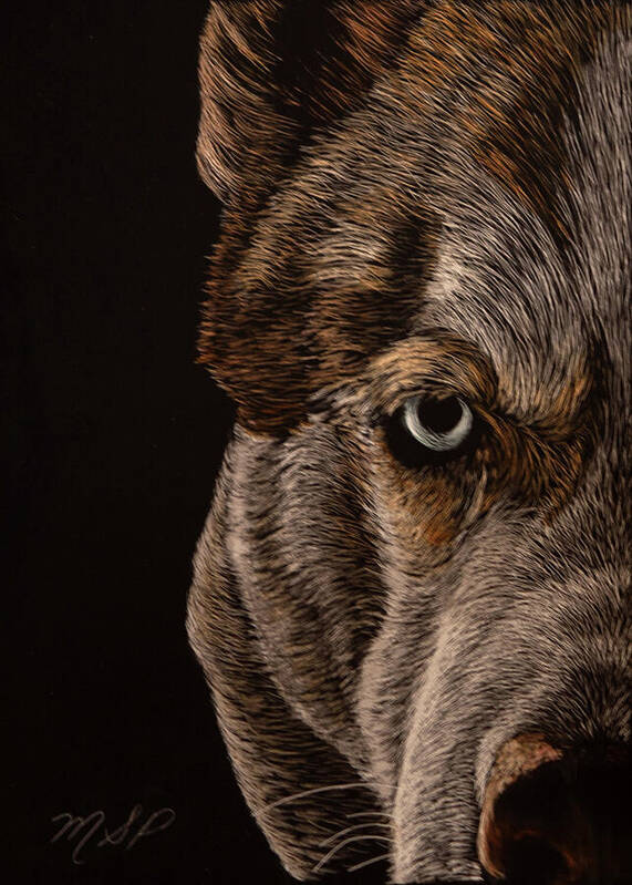 Husky Poster featuring the painting Essence of Wolf Eye by Margaret Sarah Pardy
