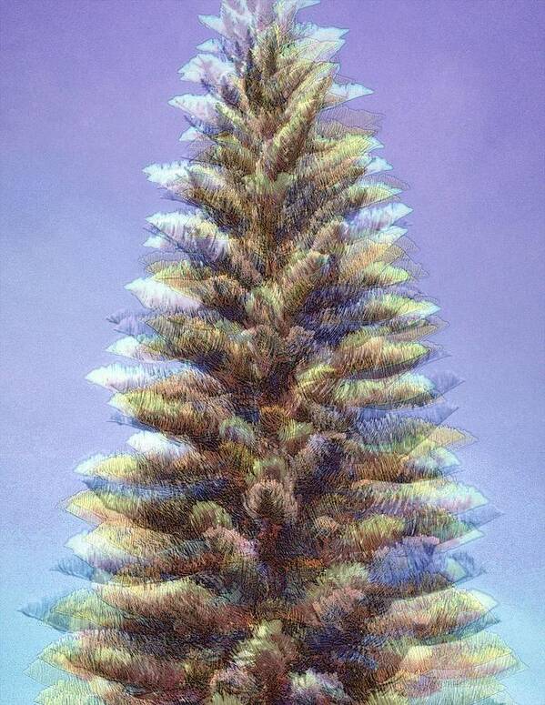 Pine Tree Poster featuring the photograph Ethereal Norfolk Pine by Jodie Marie Anne Richardson Traugott     aka jm-ART