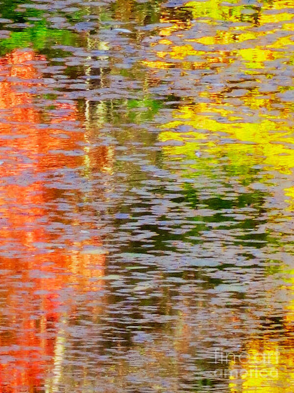 Reflection Poster featuring the photograph Fall Abstract by Kathy Strauss