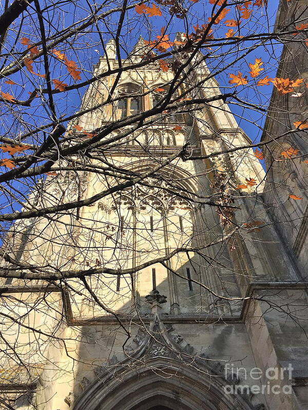 France Poster featuring the photograph Fall at French Cathedral by Barbara Plattenburg