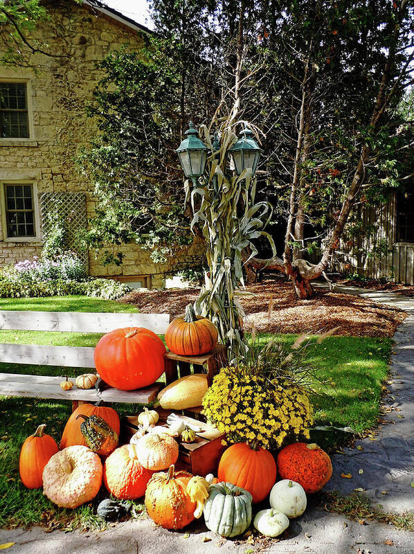 Squash Poster featuring the photograph Fall Display by Debbie Oppermann