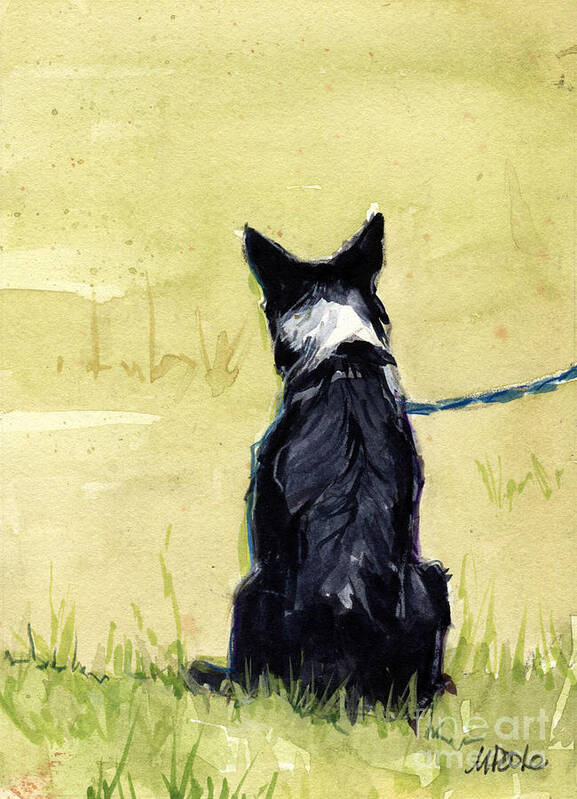 Border Collie Poster featuring the painting Field Greens by Molly Poole