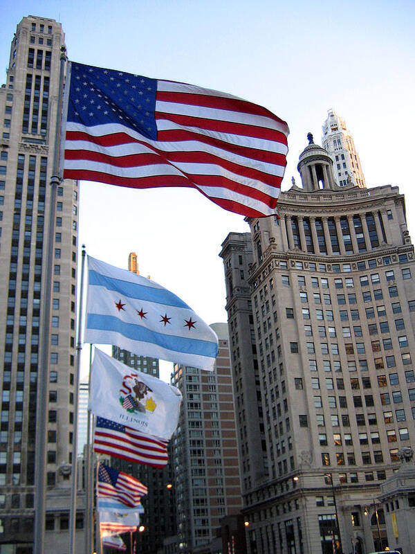 Flags Poster featuring the photograph Flags over Michigan Ave by Laura Kinker