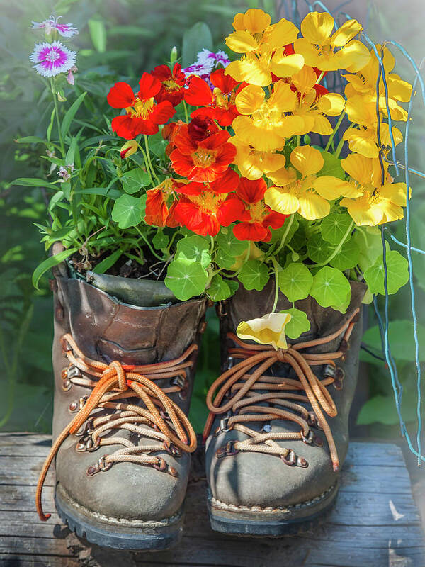 Markmilleart.com Poster featuring the photograph Flower Boots by Mark Mille