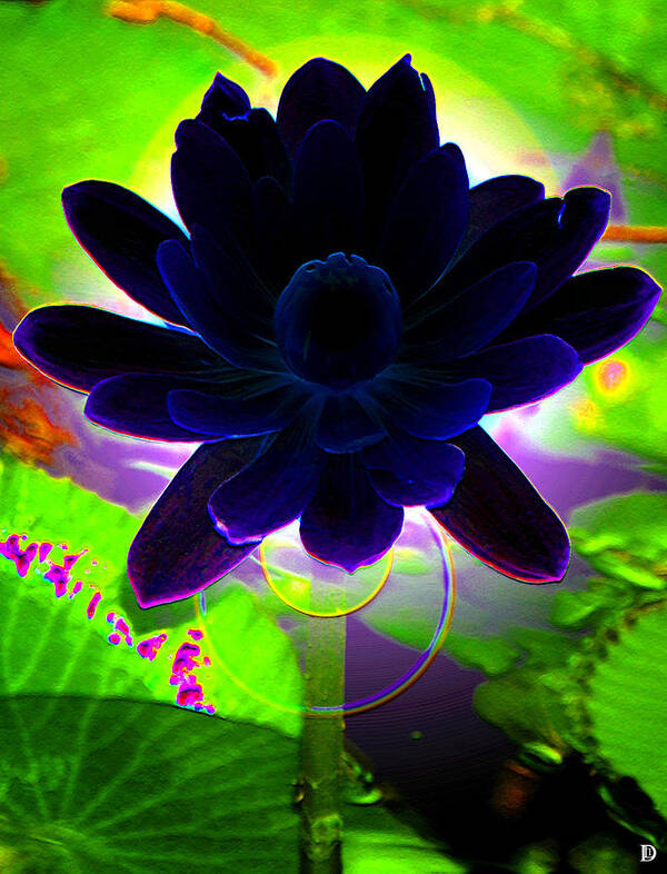 Dark Flower Poster featuring the photograph Flower for the Blues by David Lee Thompson