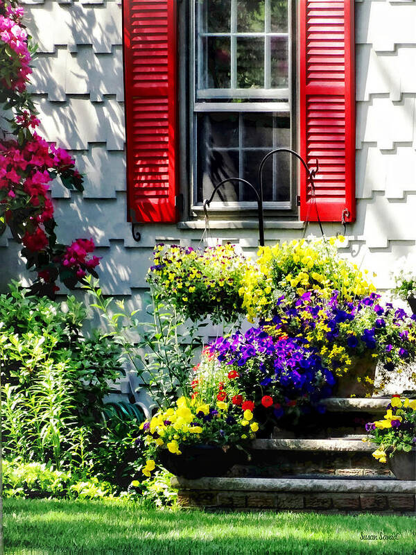 Shutters Poster featuring the photograph Flowers and Red Shutters by Susan Savad