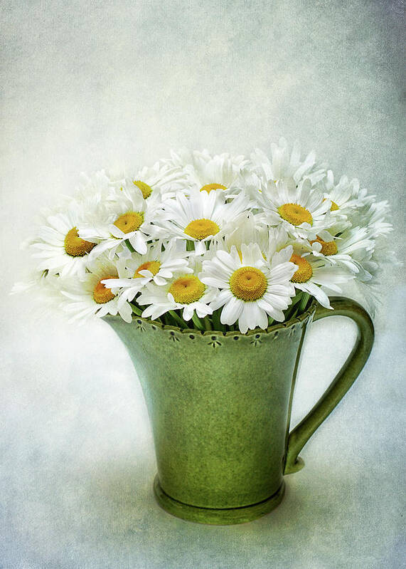 Daisies Poster featuring the photograph For Your Love by Kathi Mirto