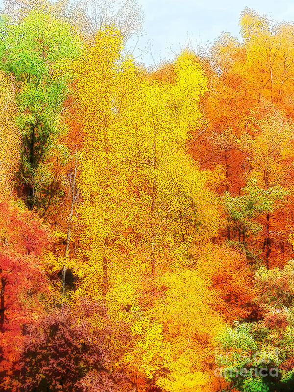Forest Bright Color Colors Tree Trees Fire Colorful Craig Walters Photo Photograph A An The Art Artist Poster featuring the digital art Forest Fire by Craig Walters