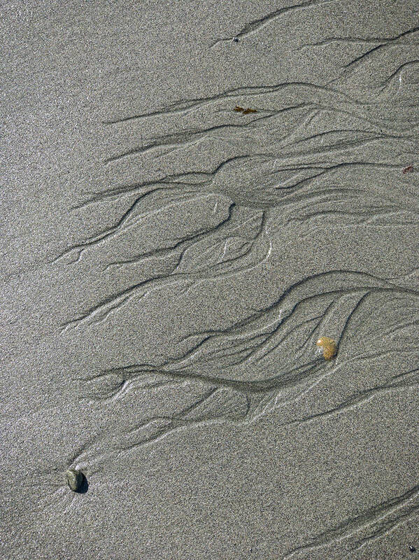 Sand Poster featuring the photograph Fractal River in The Sand by Bud Simpson