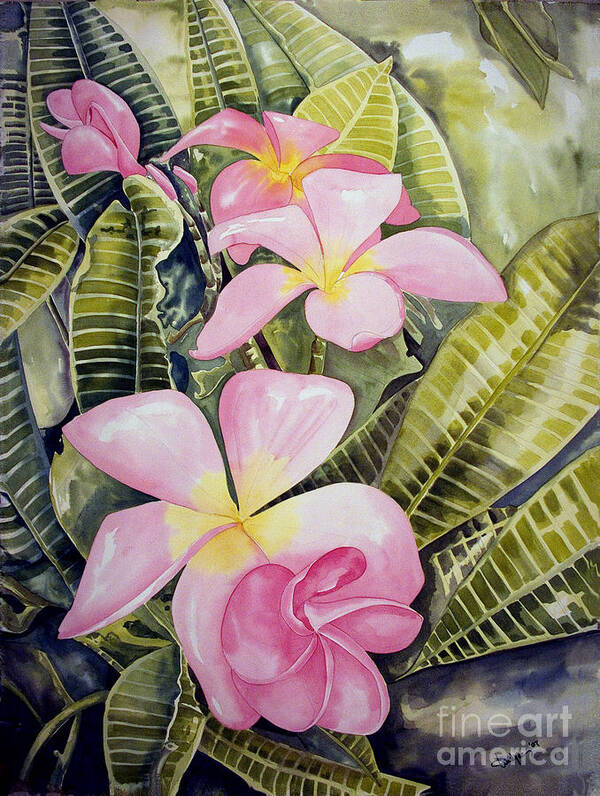 Floral Poster featuring the painting Frangipani by Kandyce Waltensperger