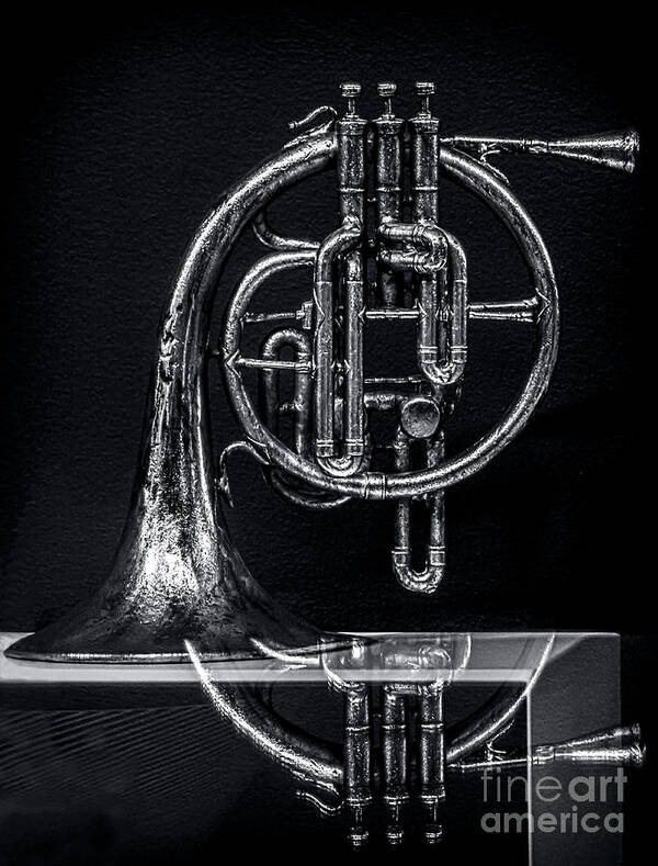 French Horn Poster featuring the photograph French Horn Beyond a Glass Table by James Aiken