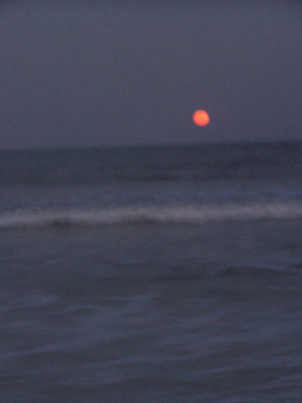 Moonlight Poster featuring the photograph Full Moon Rising by Patricia Clark Taylor