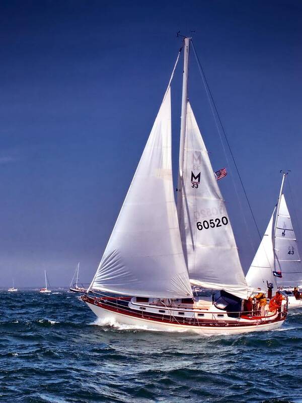 Cape Cod Poster featuring the photograph Full Sail Ahead by Bruce Gannon