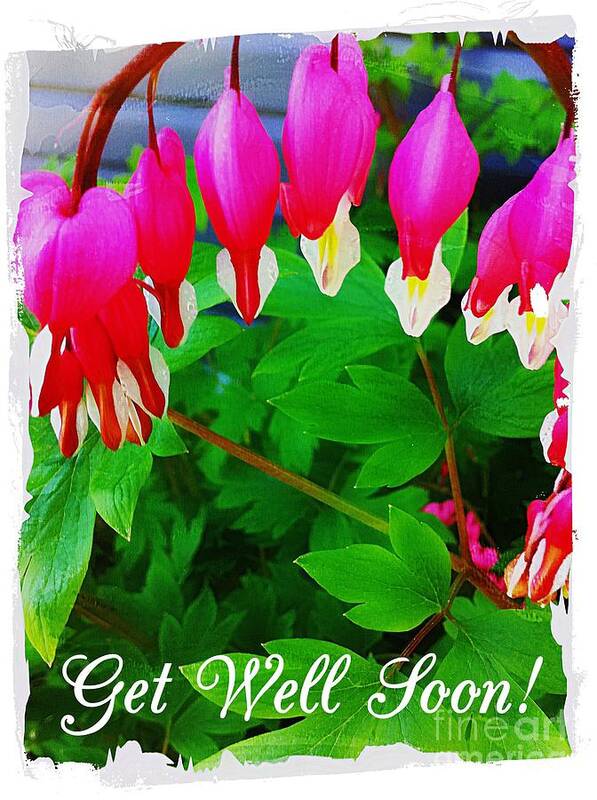 Get Well Soon Hearts Poster featuring the photograph Get Well Soon Hearts by Barbara A Griffin