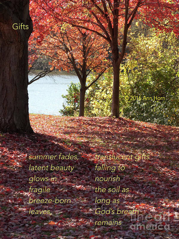Autumn Poster featuring the photograph Gifts by Ann Horn