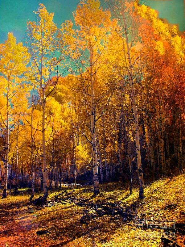 Golden Aspens Uncompahgre Plateau Colorado Poster featuring the digital art Golden Aspens by Annie Gibbons