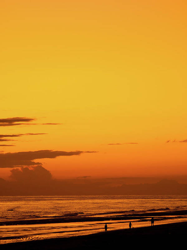 Beach Poster featuring the photograph Golden Beach Sunset by Steven Myers