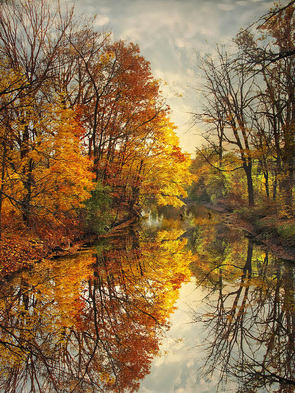 Nature Poster featuring the photograph Golden Reflections by Jessica Jenney