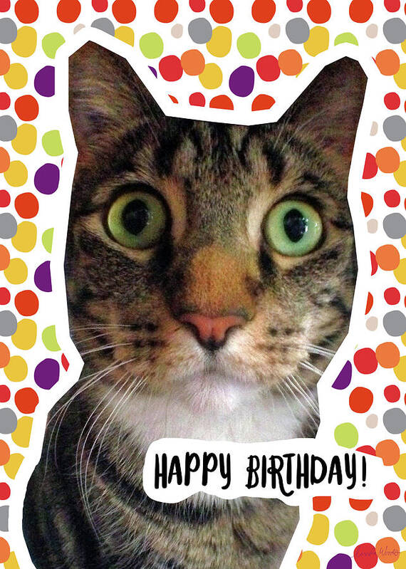Happy Birthday Cat- Art by Linda Woods Poster by Linda Woods - Pixels Merch