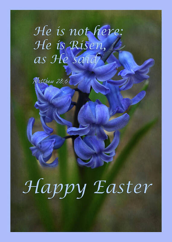  Poster featuring the photograph Happy Easter Hyacinth by Ann Bridges
