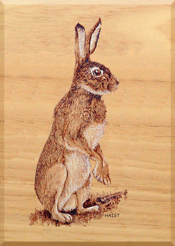 Rabbit Poster featuring the pyrography Hare by Ron Haist