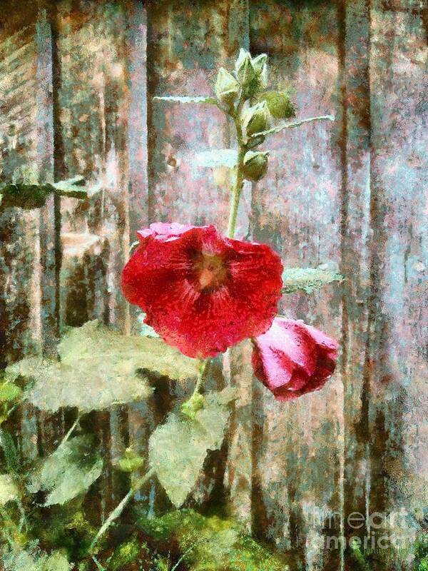 Hollyhock Poster featuring the photograph Hollyhock on weathered wood - remember the Days by Janine Riley