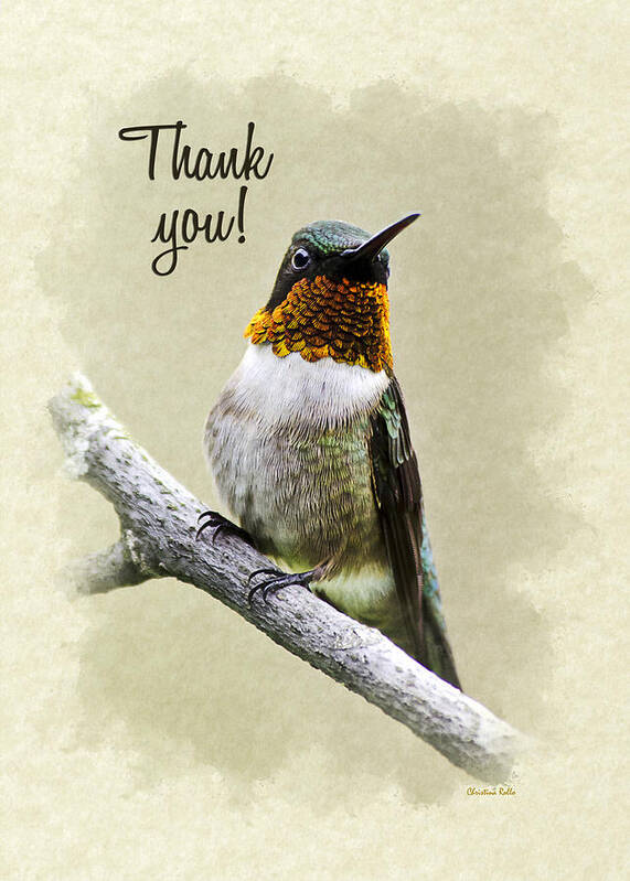 Thank You Poster featuring the mixed media Thank You Card Hummingbird Portrait by Christina Rollo