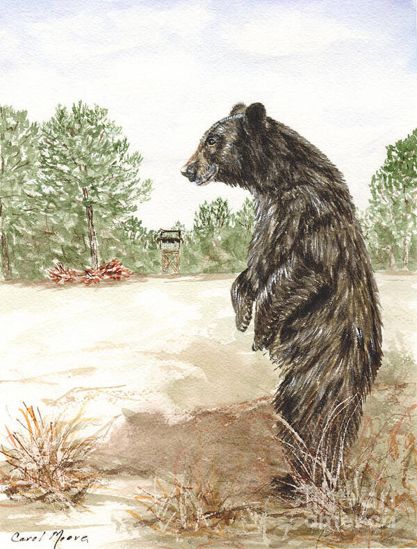 Bear Poster featuring the painting Hunting by Carol Moore