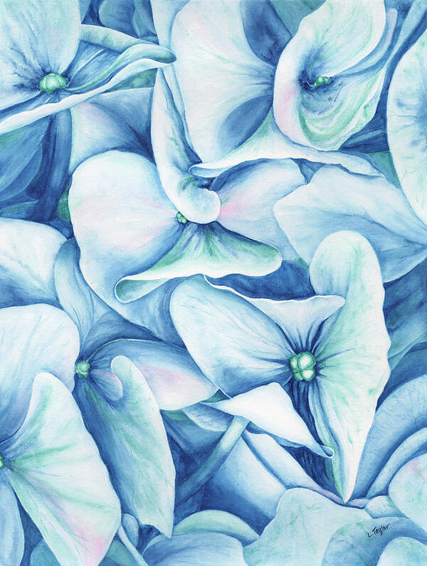 Floral Poster featuring the painting Hydrangea by Lori Taylor