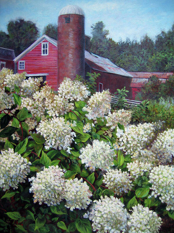 Garden Flowers Poster featuring the painting Hydrangea and Red Barn by Marie Witte