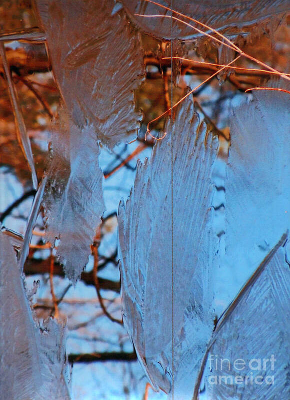  Poster featuring the photograph Ice on Pond Branches and Leaves by David Frederick