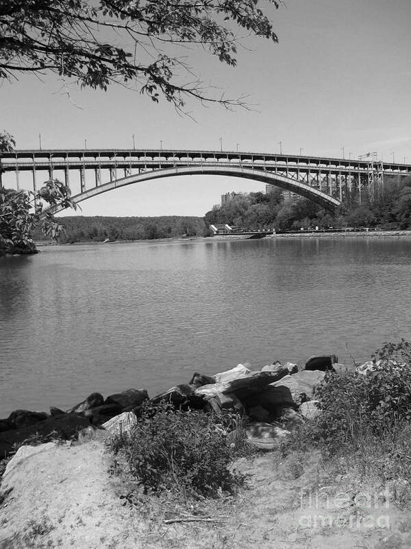 Black And White Landscapes Poster featuring the photograph Inwood Hill Park 4 by Amaryllis Leon
