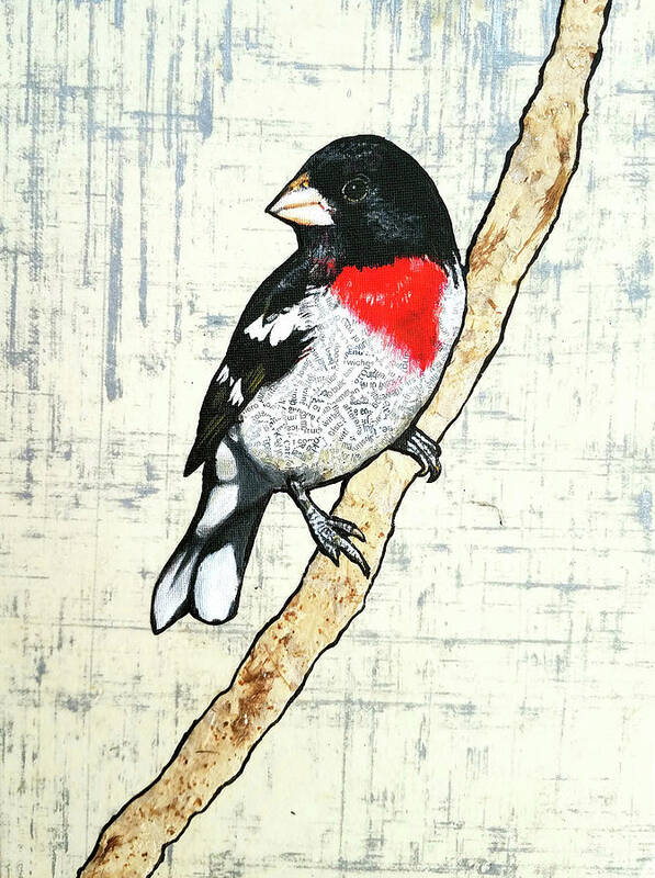 Grosbeak Poster featuring the mixed media Jack by Jacqueline Bevan