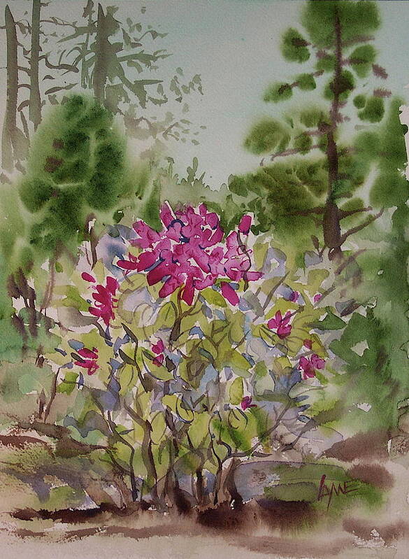 Plein Air Painted Completely On Site - No Studio Touch Up. True Plein Air Work. Poster featuring the painting Japanese Garden Rhodie 1 by Lynne Haines