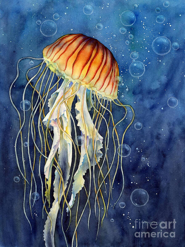 Jellyfish Poster featuring the painting Jellyfish by Hailey E Herrera