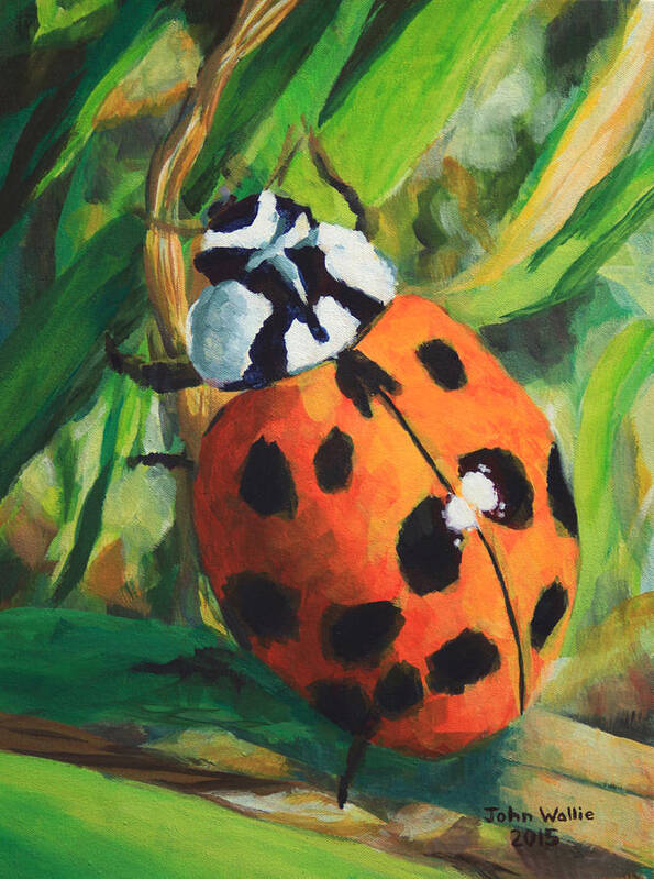 Ladybug Poster featuring the painting Ladybug by John Wallie