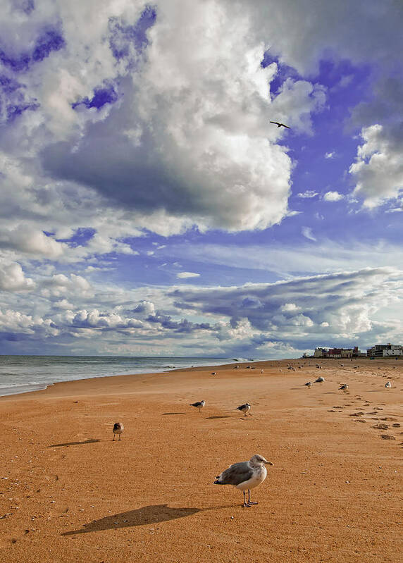 Gulls Poster featuring the photograph Last Day at the Beach by Jim Moore