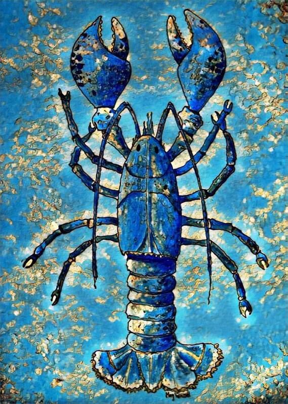 Lobsters Poster featuring the digital art Last of the Blue Lobster by Megan Walsh