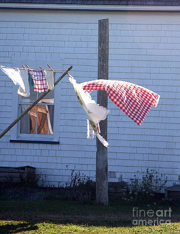 Laundry Poster featuring the photograph Laundry Day by Brenda Giasson