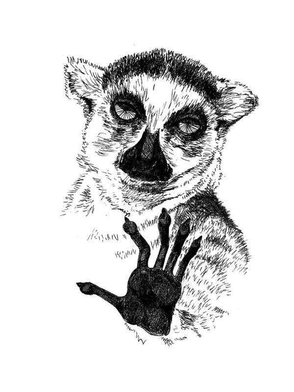 Pets Poster featuring the painting Lemur by Masha Batkova