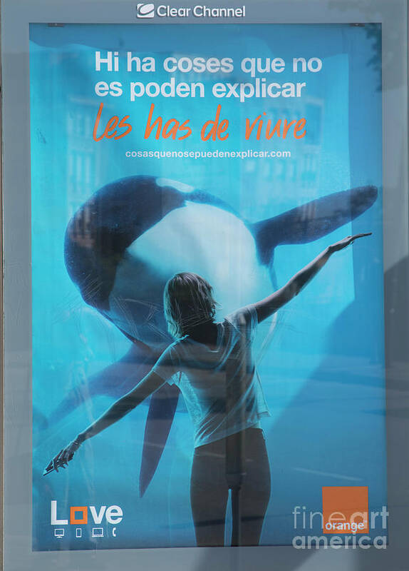 Barcelona Poster featuring the photograph Les Has de Viure Barcelona by Chuck Kuhn